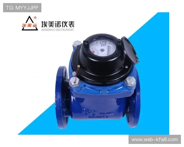 k8凯发旗舰厅官网入口:如何通过官方入口安全登录,保障个人账户信息安全 k8凯发旗舰厅官网入口:如何通过官方入口安全登录,保障个人账户信息安全