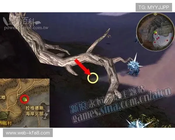 凯发会员登录流程详解帮助新手快速顺利进入游戏体验 凯发会员登录流程详解帮助新手快速顺利进入游戏体验